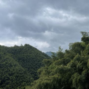 評論圖片 6
