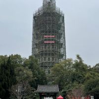 評論圖片 1
