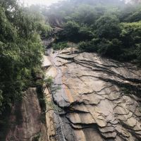 評論圖片 8