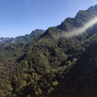 評論圖片 3