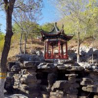 評論圖片 7