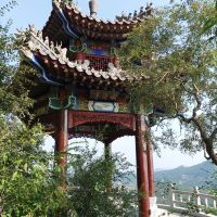評論圖片 3