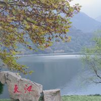 評論圖片 5