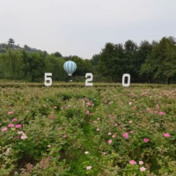評論圖片 6