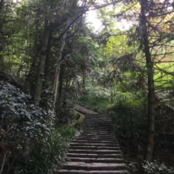 評論圖片 8