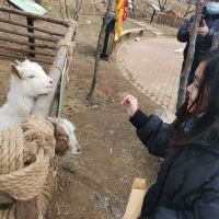 評論圖片 9