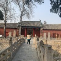 評論圖片 6