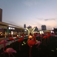 評論圖片 8