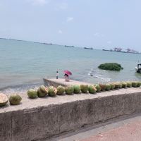 評論圖片 8