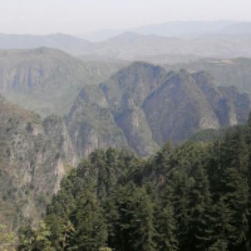 評論圖片 4