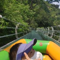 評論圖片 7