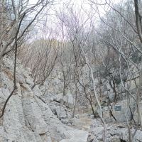 評論圖片 4