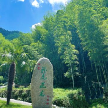 評論圖片 1