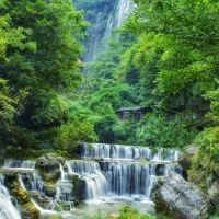 評論圖片 6