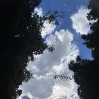 評論圖片 6