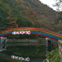 評論圖片 6