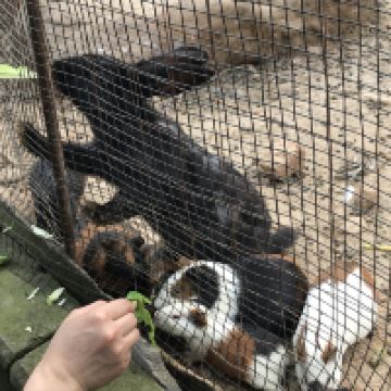 評論圖片 5