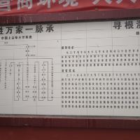 評論圖片 6