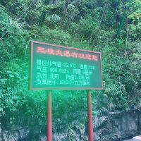 評論圖片 6
