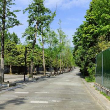 評論圖片 1