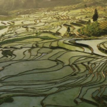 評論圖片 2