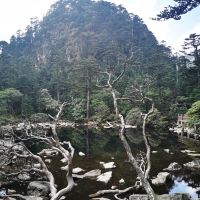 評論圖片 2