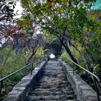 評論圖片 6