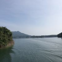 評論圖片 1
