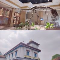 評論圖片 1