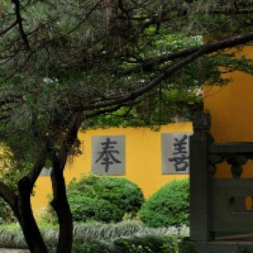 評論圖片 5