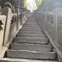 評論圖片 5