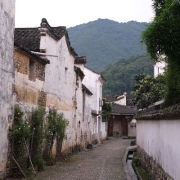 評論圖片 8