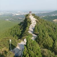 評論圖片 5