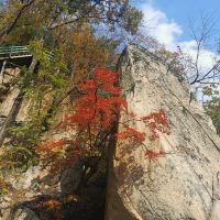 評論圖片 8