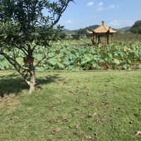 評論圖片 3