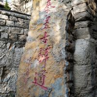 評論圖片 4