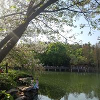 評論圖片 3