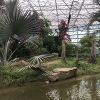 評論圖片 5