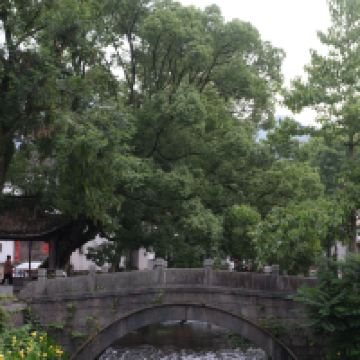 評論圖片 7