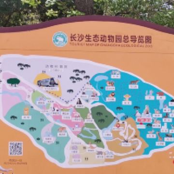 評論圖片 1