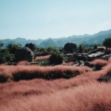 評論圖片 5
