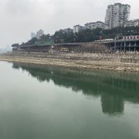 評論圖片 6