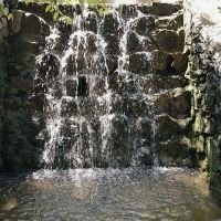 評論圖片 1