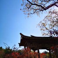 評論圖片 2