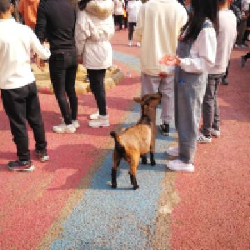 評論圖片 9
