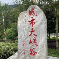 評論圖片 6