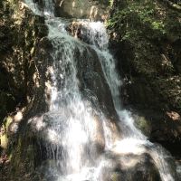 評論圖片 4