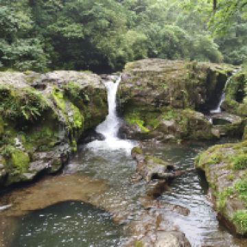 評論圖片 3