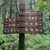 評論圖片 3