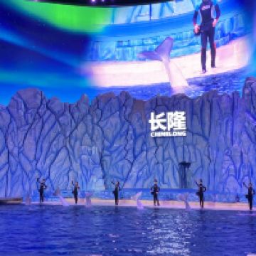 評論圖片 6